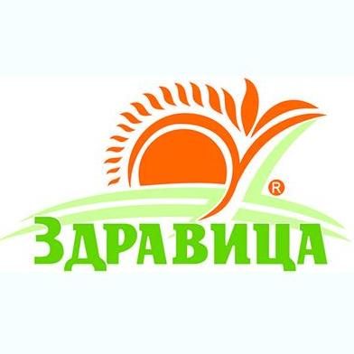 Здравица